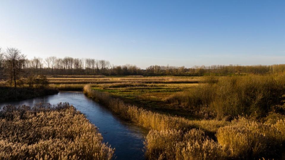 Sponsgemeente sponslabel