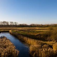Sponsgemeente sponslabel