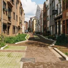 vergroening en ontharding straten 